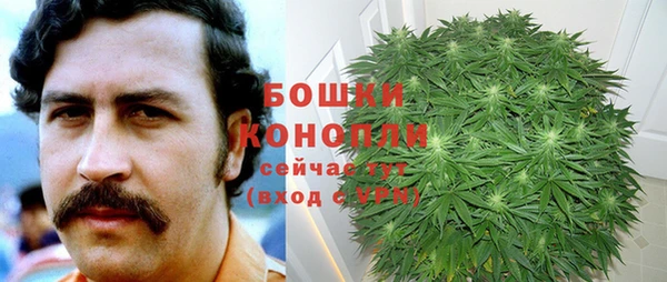 стаф Абдулино