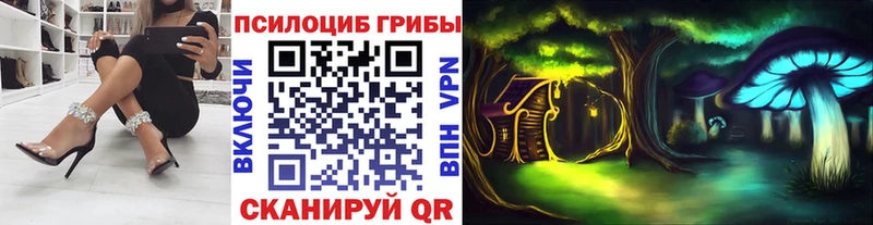 Псилоцибиновые грибы мицелий  MEGA онион  Пудож 