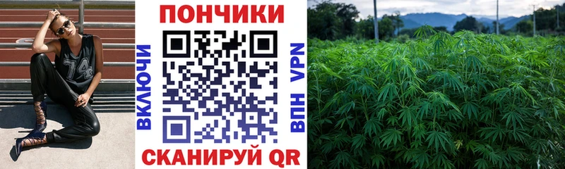 Каннабис конопля продажа наркотиков Пудож